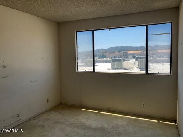 5310 Zelzah Ave Unit 305, Encino, CA 91316 - carpeted empty room with a textured ceiling