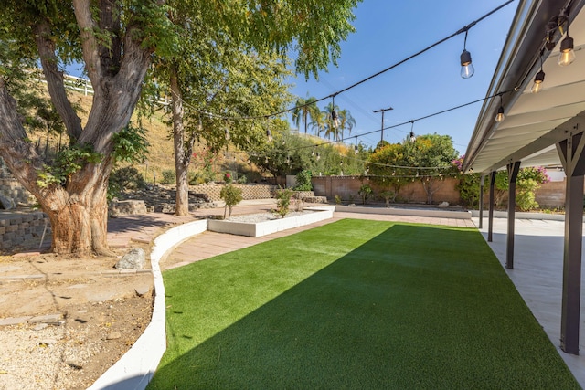 view of yard featuring a patio area