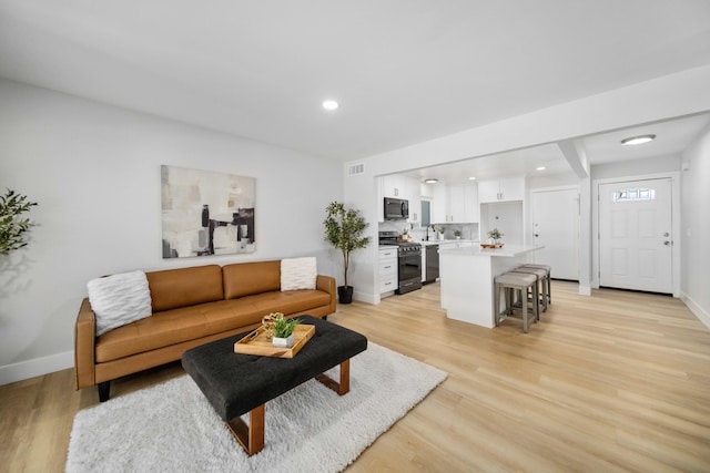 living room featuring light hardwood / wood-style flooring and sink