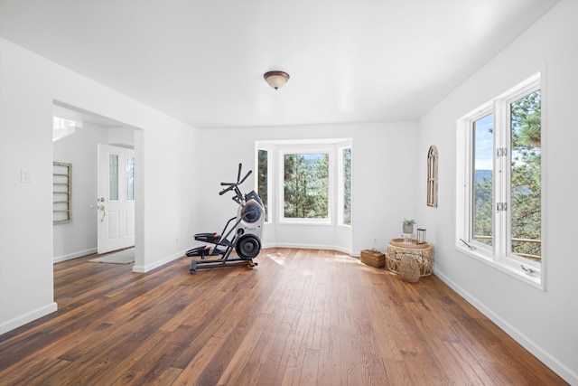 exercise room with wood-type flooring and baseboards