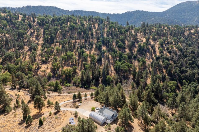 16930 Grindelwald Dr, Tehachapi, CA 93561 - photo 35