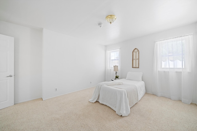 bedroom with carpet floors