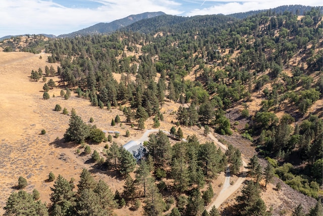 bird's eye view of a mountain backdrop and a heavily wooded area