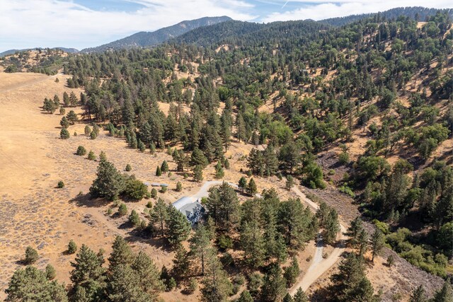 16930 Grindelwald Dr, Tehachapi, CA 93561 - photo 38