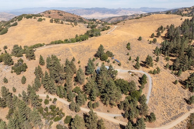 aerial view of a mountainous background