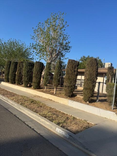 43427 Fairglen Rd, Lancaster, CA 93535 - view of obstructed view of property