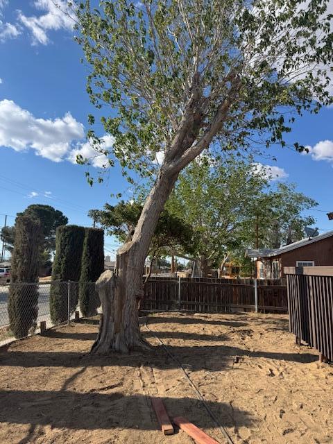 43427 Fairglen Rd, Lancaster, CA 93535 - view of yard