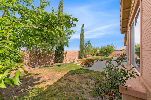 view of yard featuring a fenced backyard and a patio area