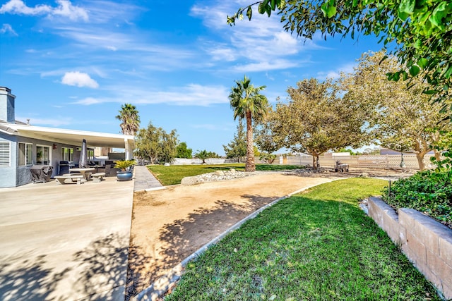 view of yard featuring a patio area