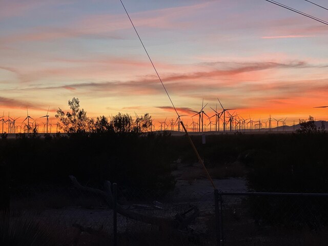 3358 Martin Ave, Mojave, CA 93501 - view of yard