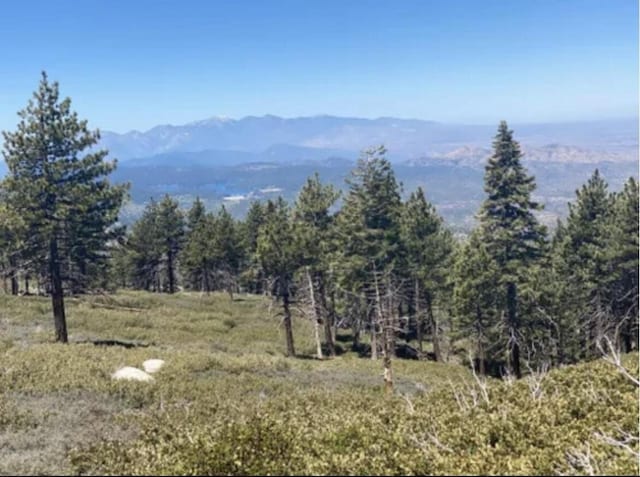 33401 Angeles Dr, Big Bear City CA, 92314 land for sale