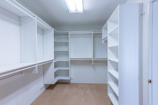 spacious closet with carpet floors
