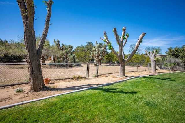 view of yard with fence and a gate