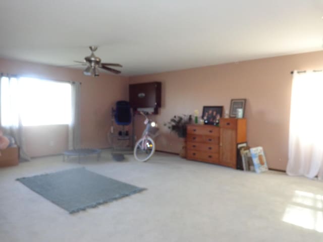 miscellaneous room featuring ceiling fan and carpet flooring