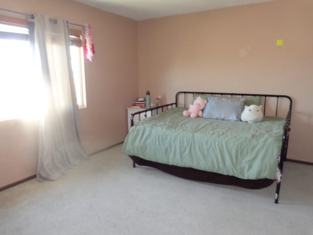 bedroom with multiple windows and carpet flooring