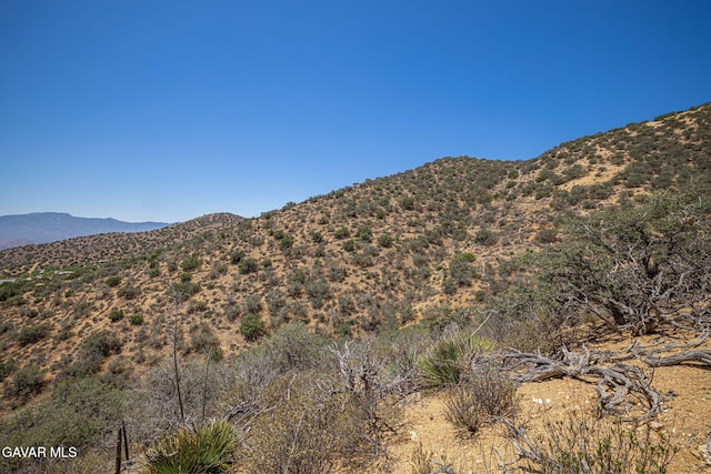 0 Clayvale St, Acton, CA 93510