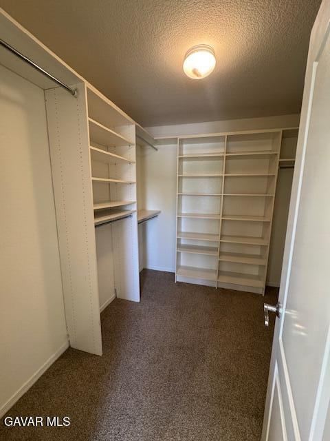 44316 Acacia St, Lancaster, CA 93535 - walk in closet with dark colored carpet
