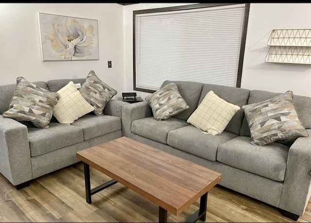 living room featuring wood finished floors