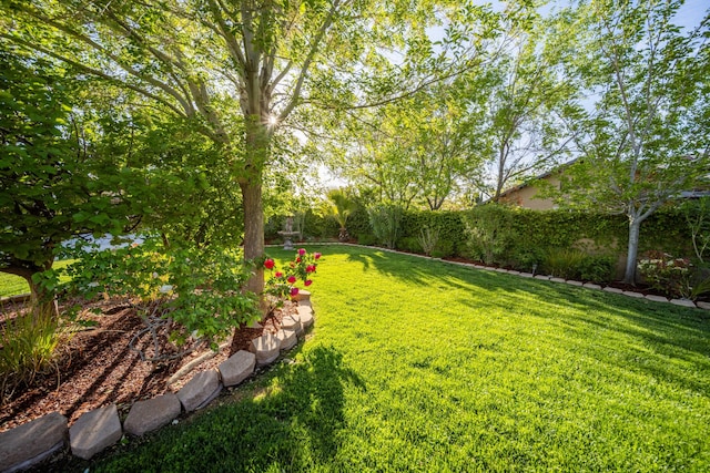 241 Quail Dr, Palmdale, CA 93551 - photo 53