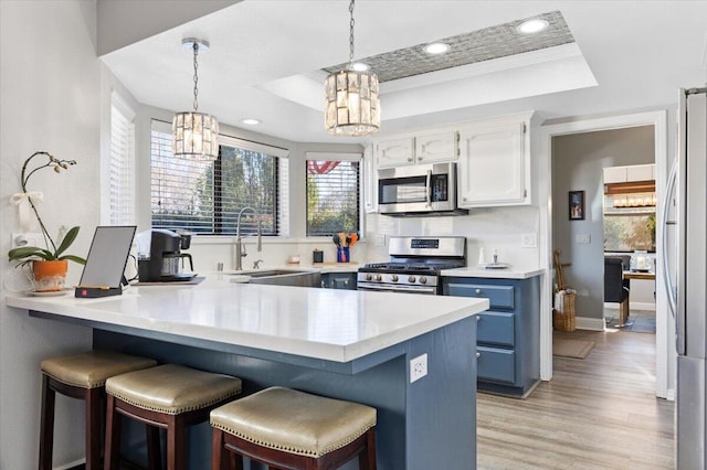 kitchen with a raised ceiling, appliances with stainless steel finishes, a kitchen breakfast bar, white cabinetry, and a sink