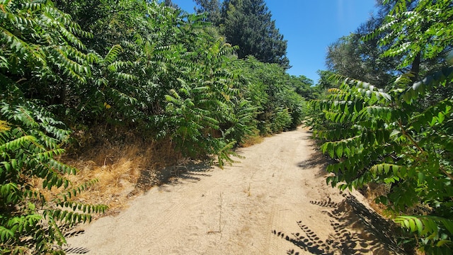 Grand Vw, Trail/High Trail Lake Hughes, CA 93532 - photo 10