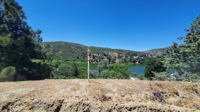 Grand Vw, Trail/High Trail Lake Hughes, CA 93532 - photo 7
