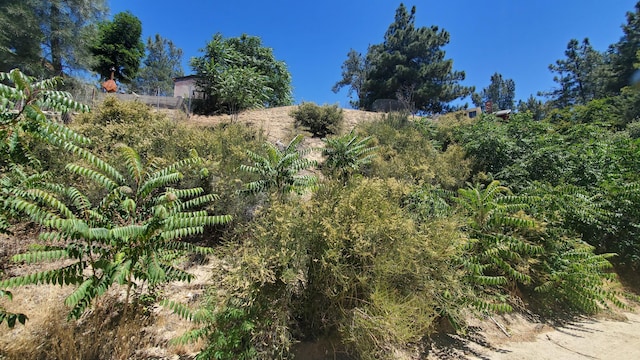 Grand Vw, Trail/High Trail Lake Hughes, CA 93532 - photo 12