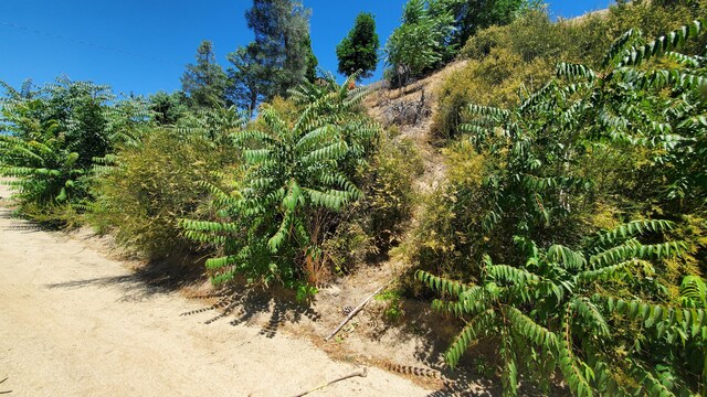 Grand Vw, Trail/High Trail Lake Hughes, CA 93532 - photo 9