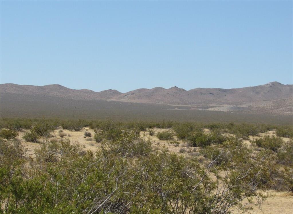 0655011330000 Danby Rd, Danby, CA 92332