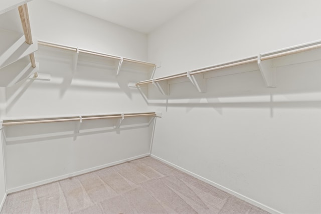 spacious closet with light carpet