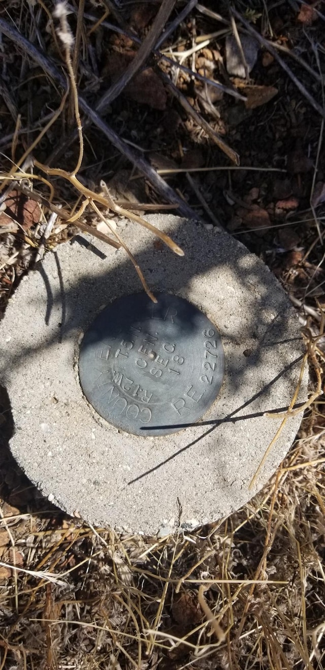 Rolandee St, Acton, CA 93510
