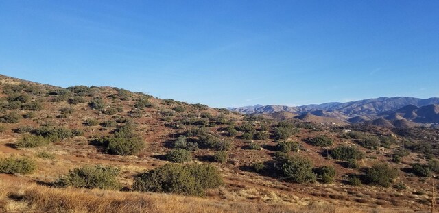 Rolandee St, Acton, CA 93510