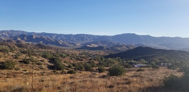 Rolandee St, Acton, CA 93510