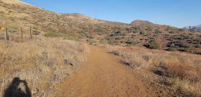Rolandee St, Acton, CA 93510