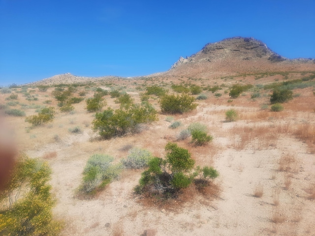 142nd St, California City CA, 93505 land for sale