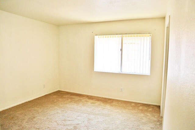 spare room featuring carpet