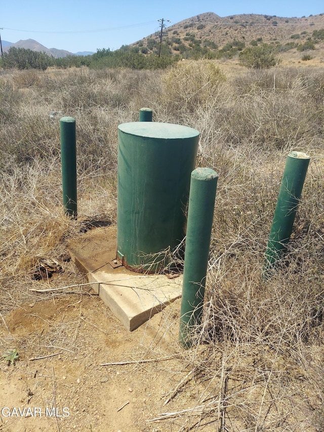 1 Governor Mine Rd, Acton, CA 93510