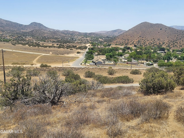 1 Governor Mine Rd, Acton, CA 93510