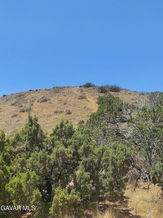 1 Governor Mine Rd, Acton, CA 93510