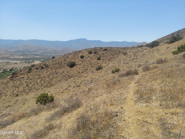 1 Governor Mine Rd, Acton, CA 93510