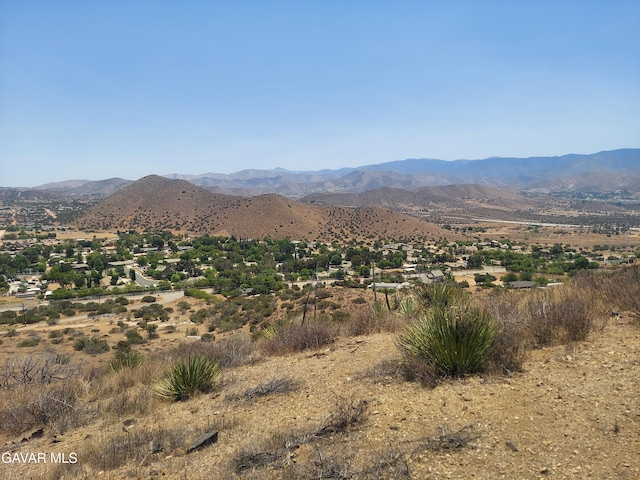 1 Governor Mine Rd, Acton, CA 93510