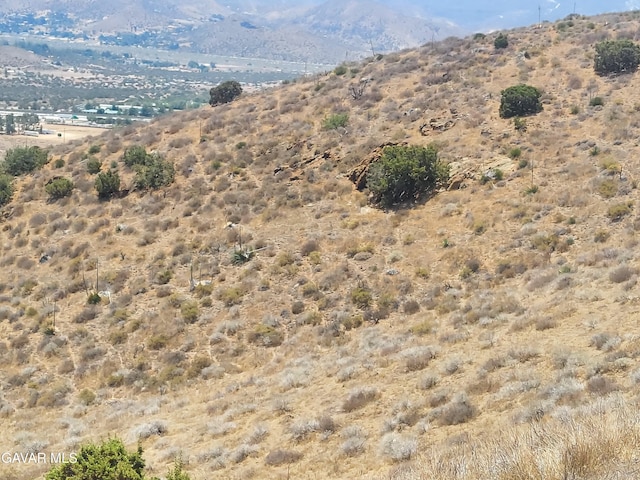1 Governor Mine Rd, Acton, CA 93510