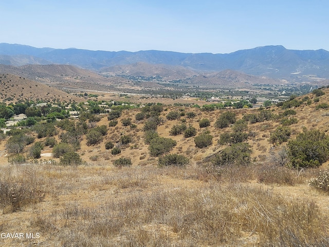 1 Governor Mine Rd, Acton, CA 93510