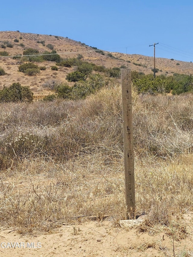 1 Governor Mine Rd, Acton, CA 93510