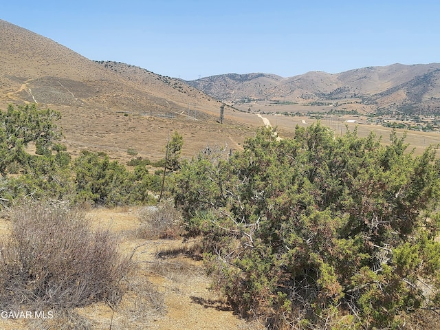 1 Governor Mine Rd, Acton, CA 93510