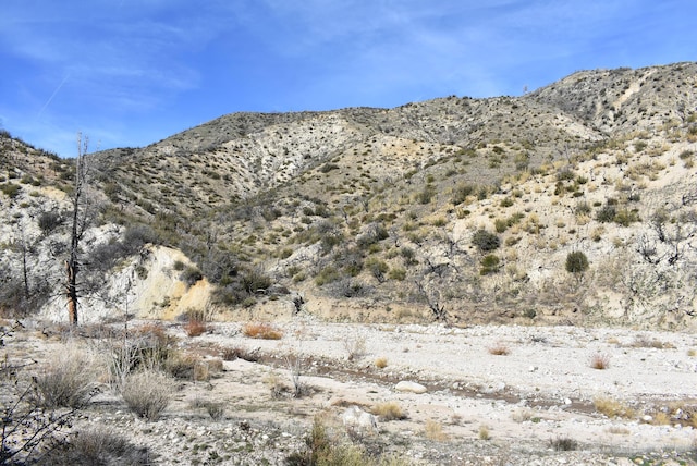 20811 Pine Canyon Rd, Lake Hughes, CA 93532