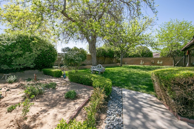 42902 Sachs Dr, Lancaster, CA 93536 - view of fenced backyard