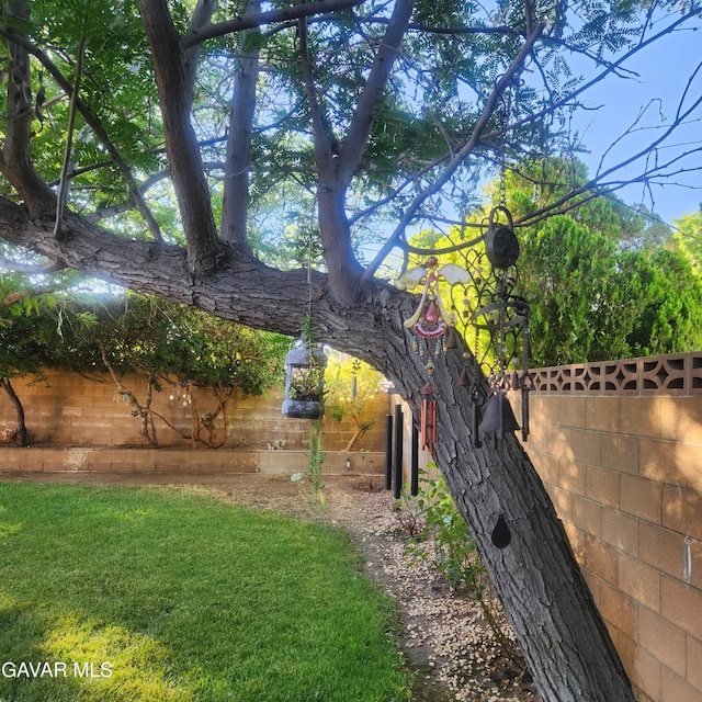 42902 Sachs Dr, Lancaster, CA 93536 - view of yard