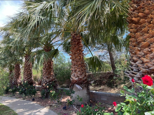 40946 Via Tranqilo, Palmdale, CA 93551 - view of landscape
