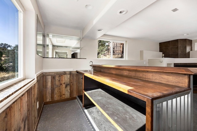 bar with sink, a wealth of natural light, and wood walls